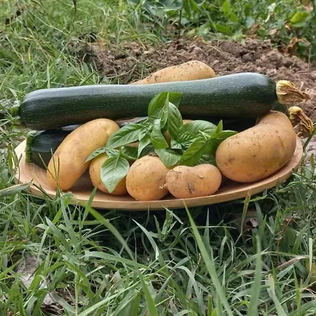 Verbiarosso Alloggio per agriturismo Poggiolo (Terni)