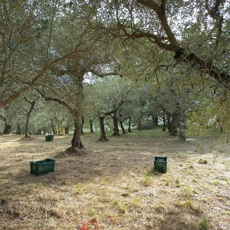 Verbiarosso Alloggio per agriturismo *